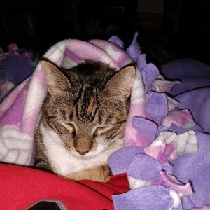 Meet your Posher, Regi